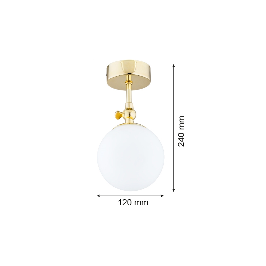 Argon 4001 - Окачен полилей за баня LATINA 1xE14/40W/230V IP44
