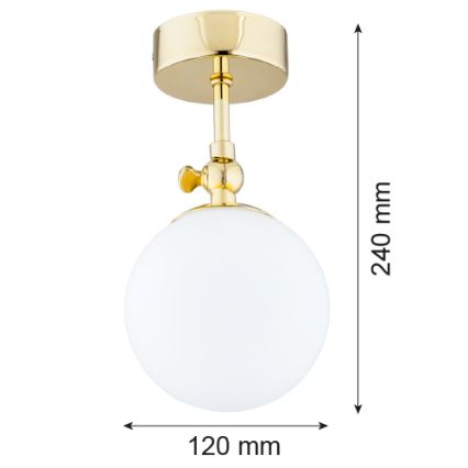 Argon 4001 - Окачен полилей за баня LATINA 1xE14/40W/230V IP44