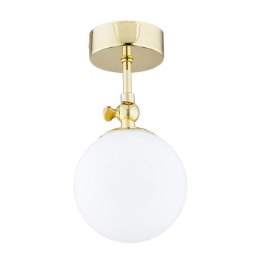 Argon 4001 - Плафон за баня LATINA 1xE14/40W/230V IP44