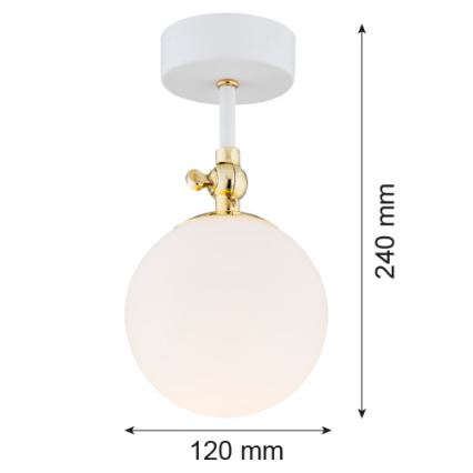 Argon 4002 - Полилей за баня LATINA 1xE14/7W/230V IP44 бял/златист