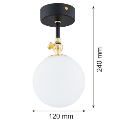 Argon 4003 - Полилей за баня LATINA 1xE14/7W/230V IP44 черен/месинг