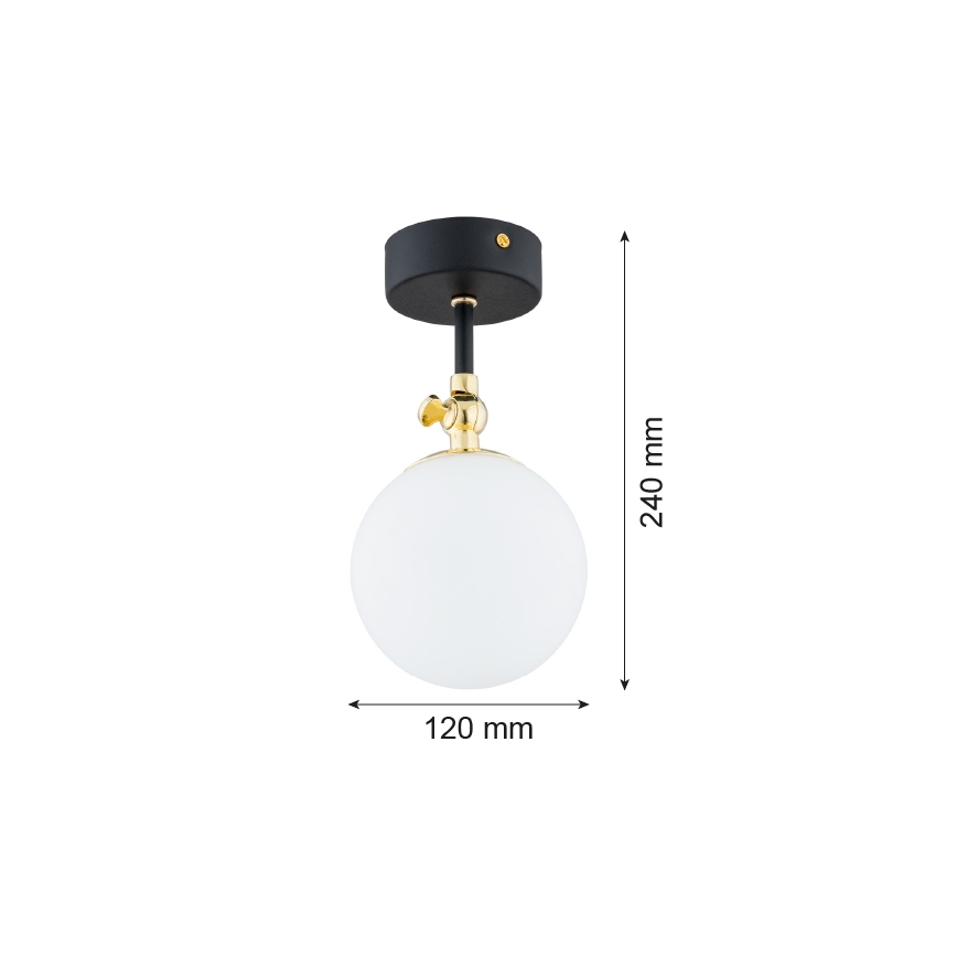 Argon 4003 - Полилей за баня LATINA 1xE14/7W/230V IP44 черен/месинг
