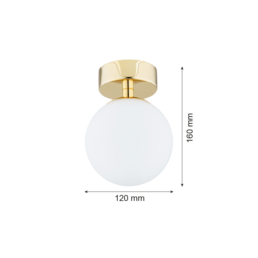 Argon 4004 - Плафониера за баня FLAVIO 1xE14/7W/230V IP44