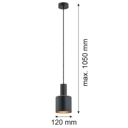 Argon 4219 - Висящ полилей SINES 1xE27/15W/230V Ø 12 cм черен