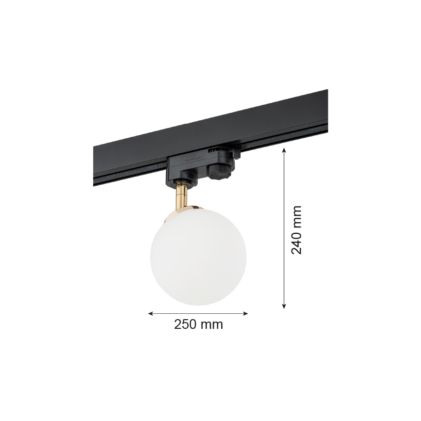 Argon 4307 - Спот за релсова система BANG 1xG9/6W/230V месинг
