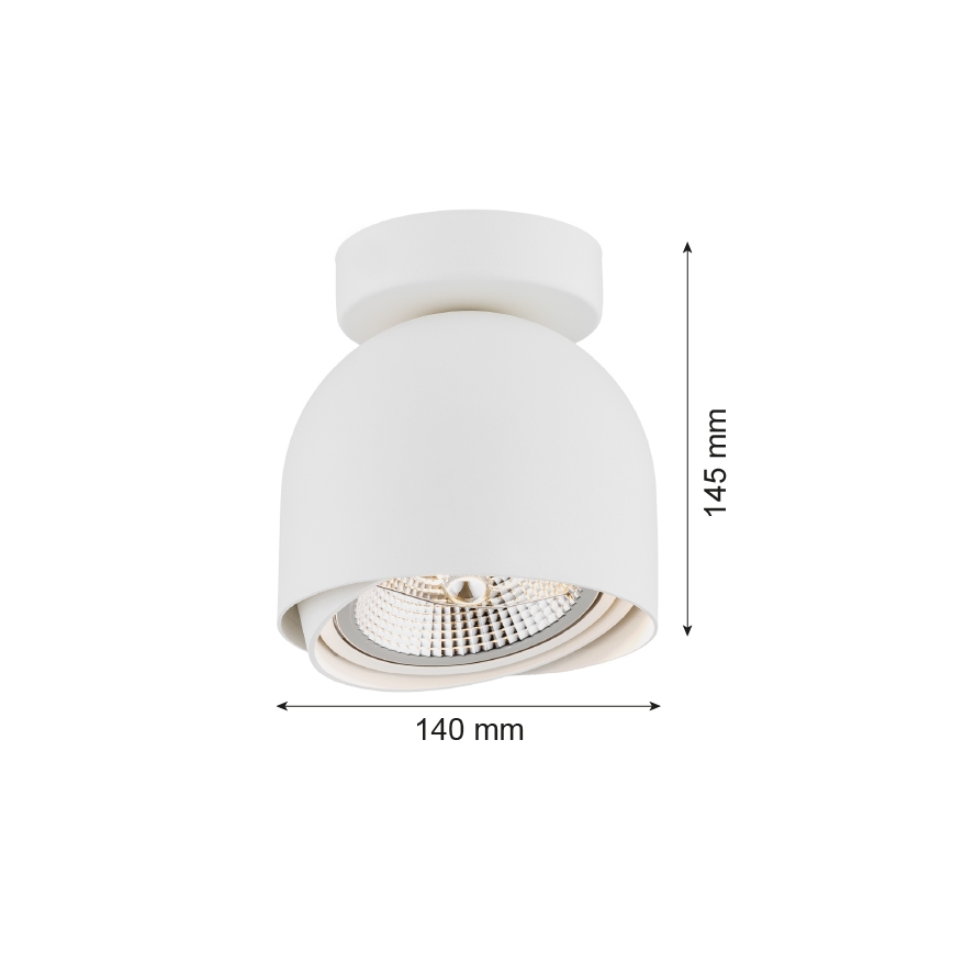 Argon 4710 - Спот GARLAND 1xGU10-AR111/12W/230V бял