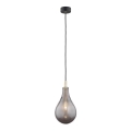 Argon 4716 - Висящ полилей OAKLAND 1xG9/6W/230V