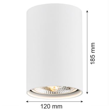 Argon 4910 - Спот TUBO AR111 1xGU10/15W/230V бял