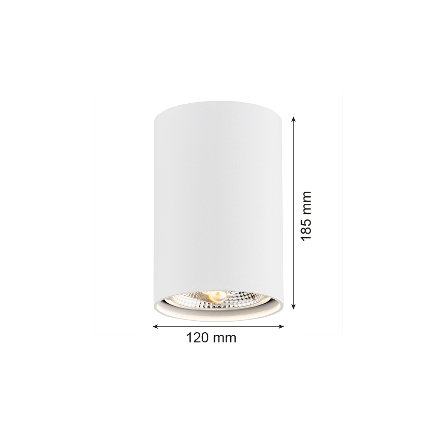 Argon 4910 - Спот TUBO AR111 1xGU10/15W/230V бял