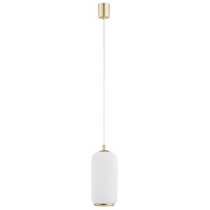 Argon 4993 - Висящ полилей PALLADO 1xE27/15W/230V златист/бял