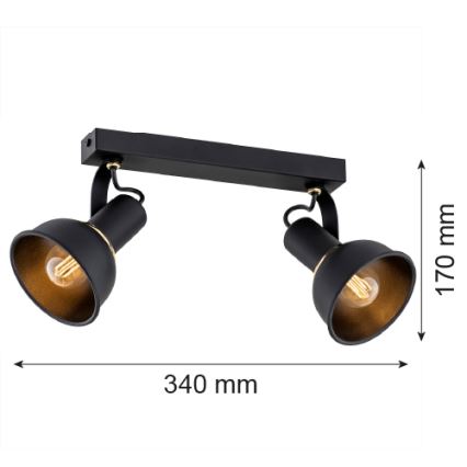 Argon 7037 - Спот TWIST 2xE14/7W/230V черен/златист