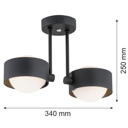 Argon 7089 - Полилей MASSIMO PLUS 2xG9/6W/230V черен