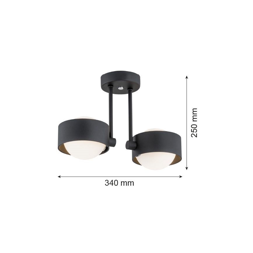 Argon 7089 - Полилей MASSIMO PLUS 2xG9/6W/230V черен