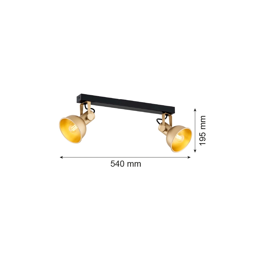 Argon 7144 - Спот LENORA 2xE14/7W/230V златист/черен