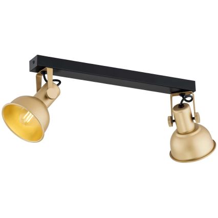 Argon 7144 - Спот LENORA 2xE14/7W/230V златист/черен