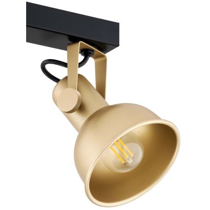 Argon 7144 - Спот LENORA 2xE14/7W/230V златист/черен