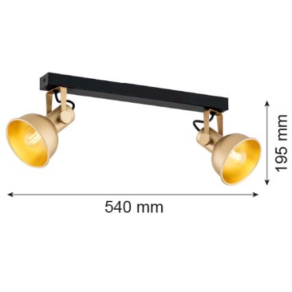 Argon 7144 - Спот LENORA 2xE14/7W/230V златист/черен