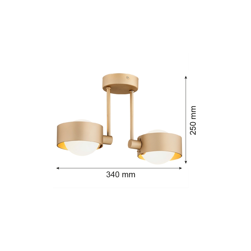 Argon 7215 - Полилей за баня MASSIMO PLUS 2xG9/6W/230V IP44 златист