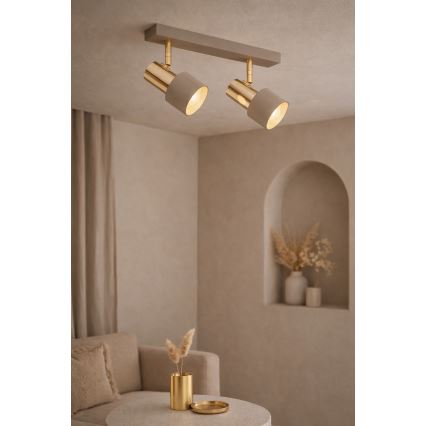Argon 7299 - Точково осветително тяло DOR 2xE27/15W/230V златисто/бежово