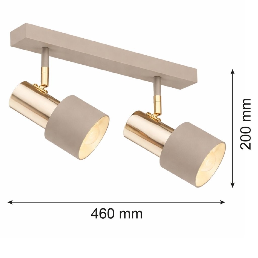 Argon 7299 - Точково осветително тяло DOR 2xE27/15W/230V златисто/бежово