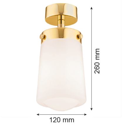 Argon 8005 - Полилей за повърхностен монтаж PASADENA 1xE27/15W/230V златист/бял