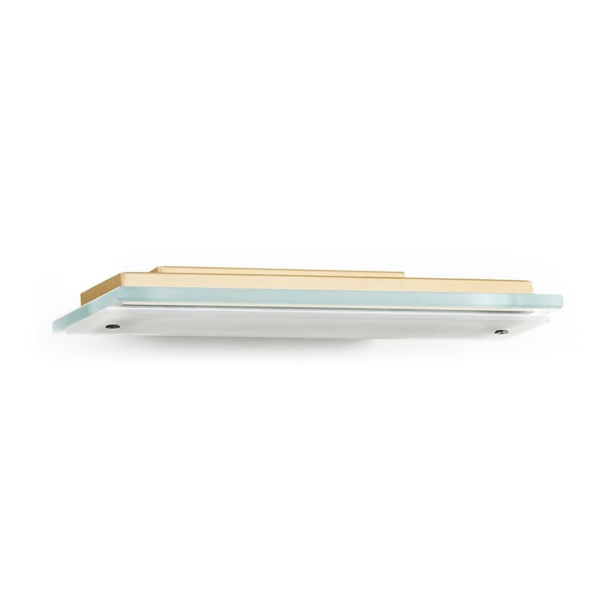 Argon 8363 - LED Аплик VELO LED/7,2W/230V 3000K златист/прозрачен