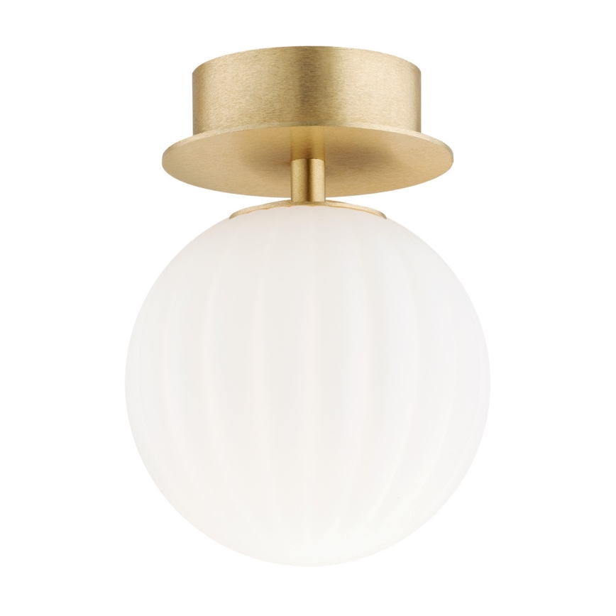 Argon 8504 - Аплик PALOMA 1xE14/7W/230V златист/бял