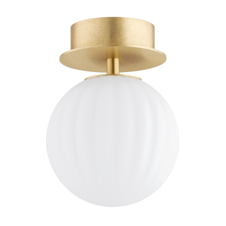 Argon 8504 - Аплик PALOMA 1xE14/7W/230V златист/бял