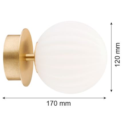 Argon 8504 - Аплик PALOMA 1xE14/7W/230V златист/бял
