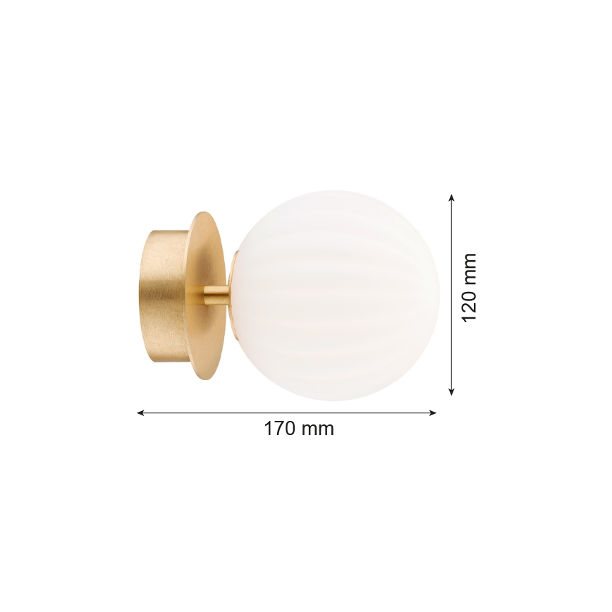 Argon 8504 - Аплик PALOMA 1xE14/7W/230V златист/бял