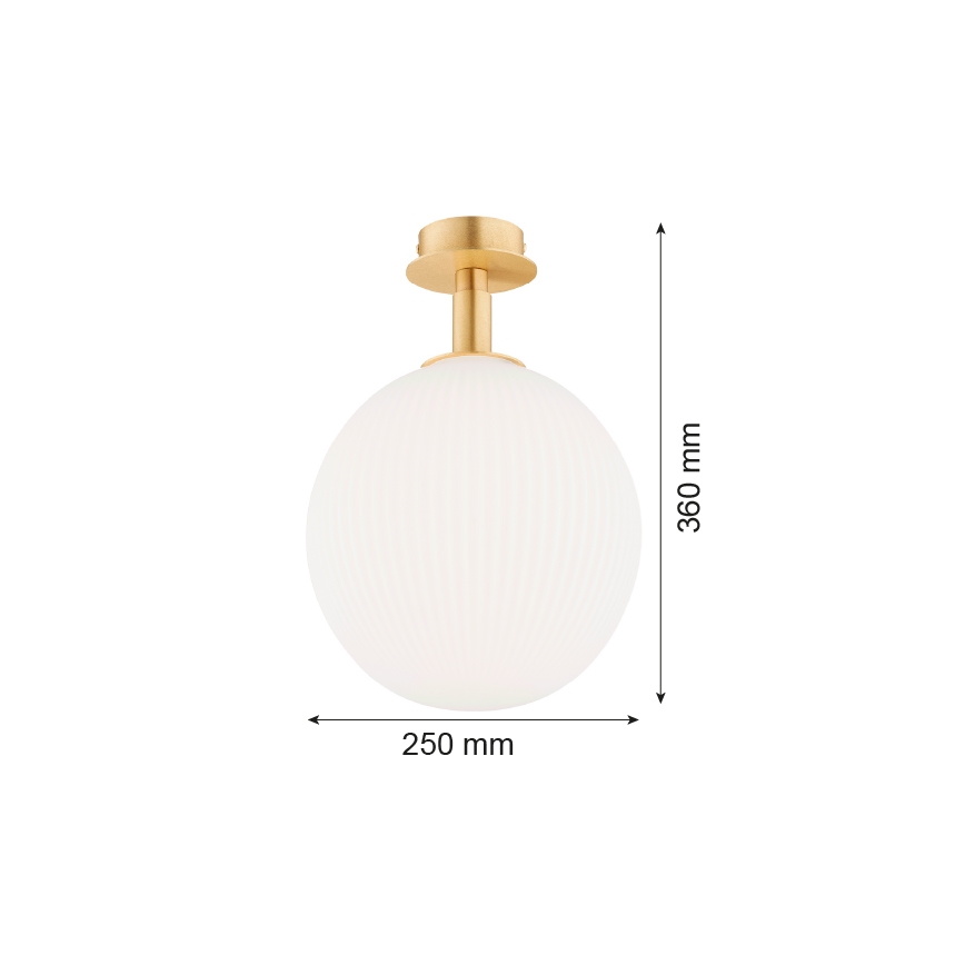 Argon 8505 - Плафон PALOMA 1xE27/15W/230V златист/бял