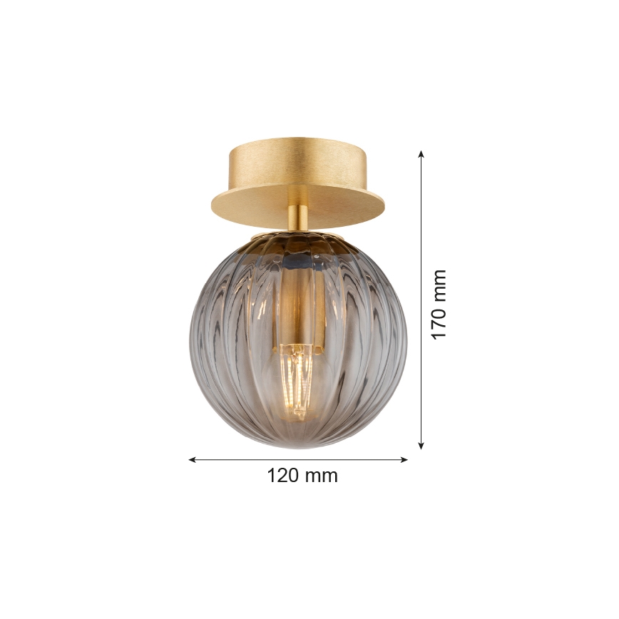 Argon 8510 - Аплик PALOMA 1xE14/7W/230V златист/черен