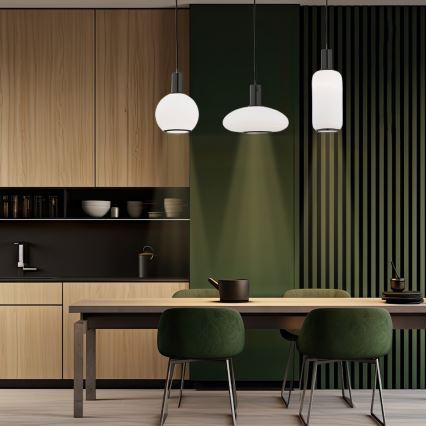 Argon 8563 - Пендел SAGUNTO PLUS 1xE27/15W/230V Ø 14 см черен