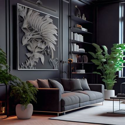 Argon 8597 - LED Лампа за картина MIRIAM LED/10,8W/230V 3000K 60 см черен