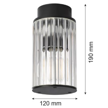 Argon 8773 - Екстериорна лампа за таван NORFOLK 1xE27/15W/230V IP44 черен