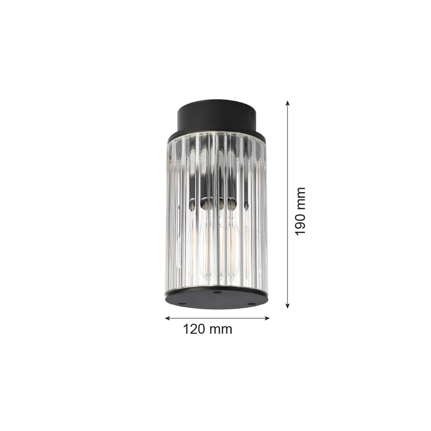 Argon 8773 - Екстериорна лампа за таван NORFOLK 1xE27/15W/230V IP44 черен