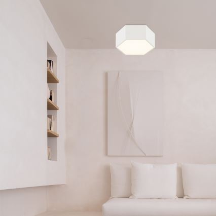 Argon 8781 - LED Плафониера LIBERO LED/12W/230V 3000K бял