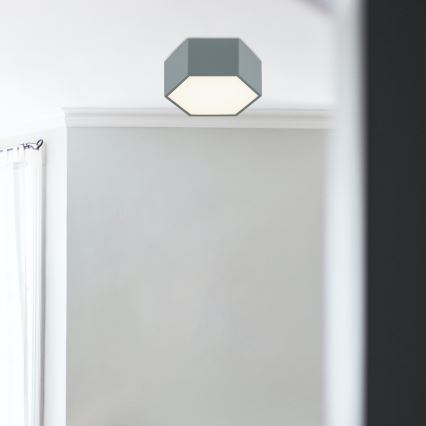 Argon 8784 - LED Плафониера LIBERO LED/12W/230V 3000K сив