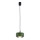 Argon 8815 - Пендел TEVO 1xG9/4,5W/230V зелен