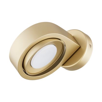 Argon 8899 - Настенно осветително тяло LOTUS 1xGX53/12W/230V златисто