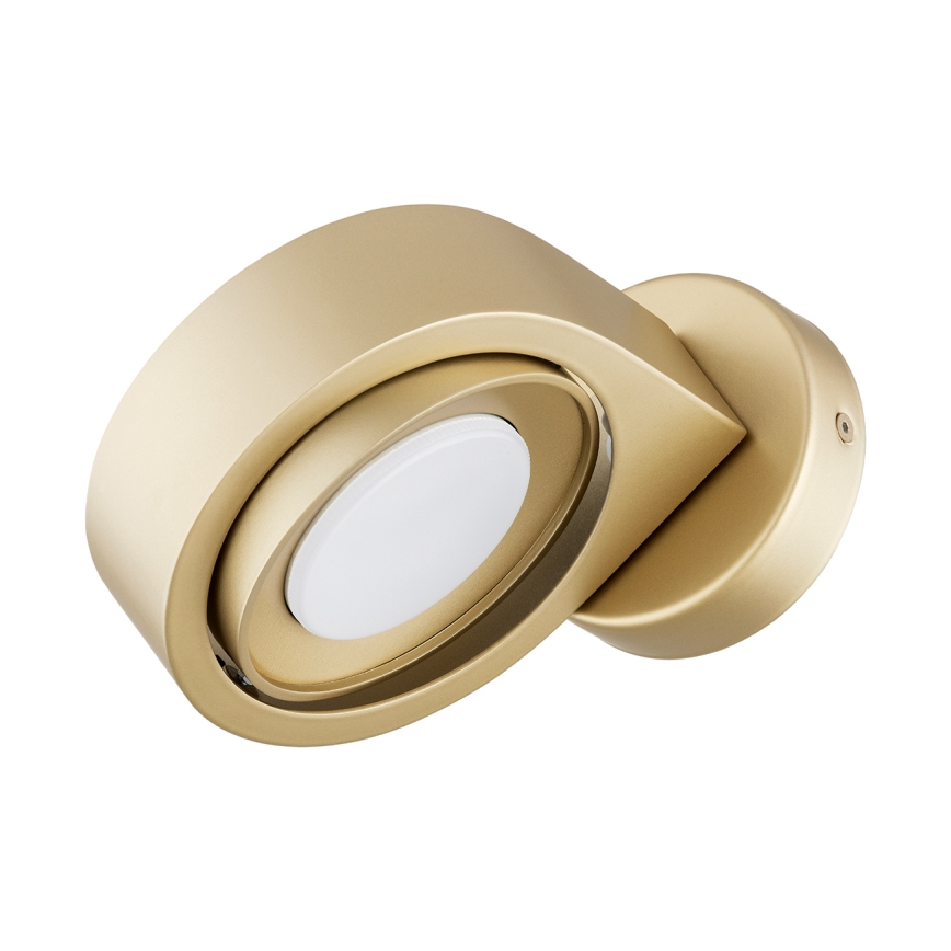 Argon 8899 - Настенно осветително тяло LOTUS 1xGX53/12W/230V златисто