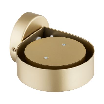 Argon 8899 - Настенно осветително тяло LOTUS 1xGX53/12W/230V златисто