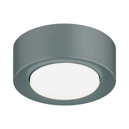 Argon 8917 - Плафон ELORA 1xGX53/7W/230V Ø 11 см сив