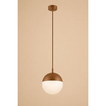 Argon 8998 - Външна висяща лампа на кабел LIV 1xE27/15W/230V IP44 кафява