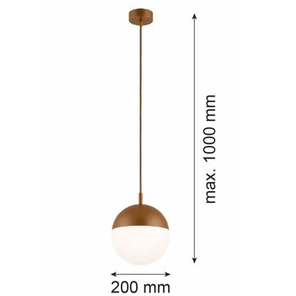 Argon 8998 - Външна висяща лампа на кабел LIV 1xE27/15W/230V IP44 кафява