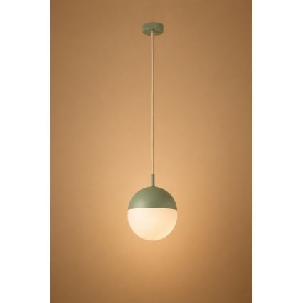 Argon 8999 - Външна висяща лампа на кабел LIV 1xE27/15W/230V IP44 зелена