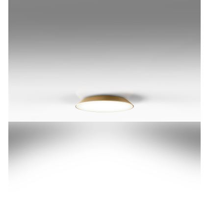 Artemide AR 0241320A - LED Лампа за таван FEBE 4xLED/30W/230V