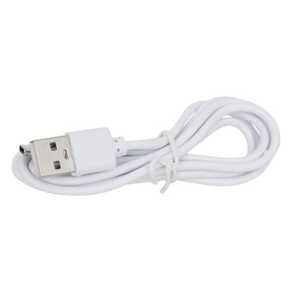 Atmosphera - LED RGBW Акумулаторна екстериорна настолна лампа ZACK LED/3,7V 1200 mAh IP44 тюркоаз