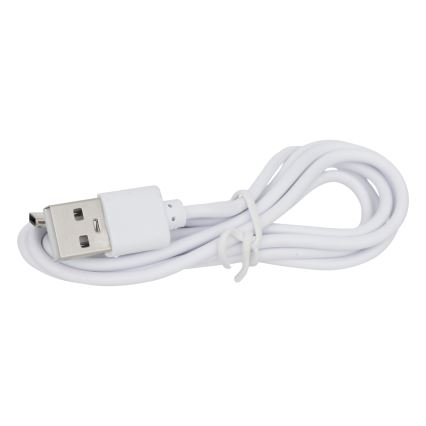Atmosphera - LED Соларна лампа KESY LED/1,2V IP44