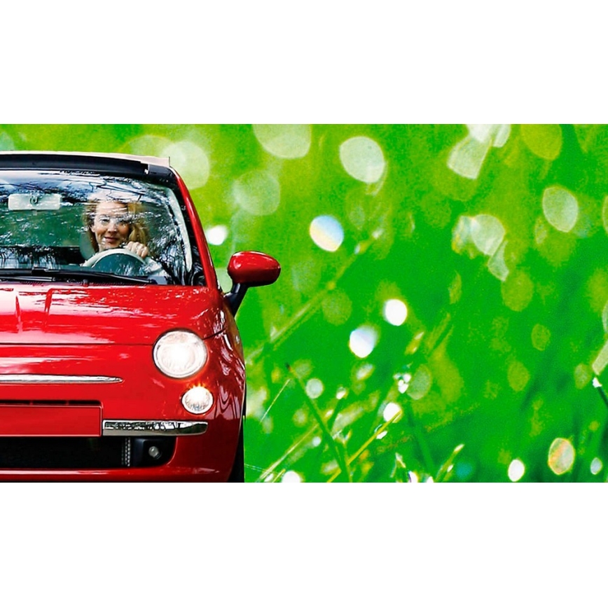 Автомобилна крушка Philips ECO VISION 12342LLECOB1 H4 P43t-38/55W/12V 3100K